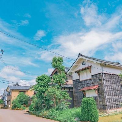 崔永元吸猫甘做“铲屎官” 如此回应“炮轰范冰冰”…
